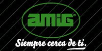 logo_amig